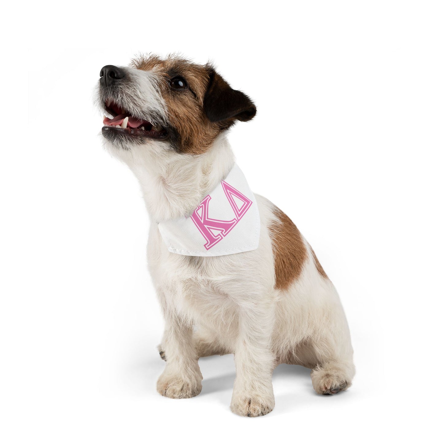 "Kappa Delta" Best Friend Pet Bandana Collar Girl