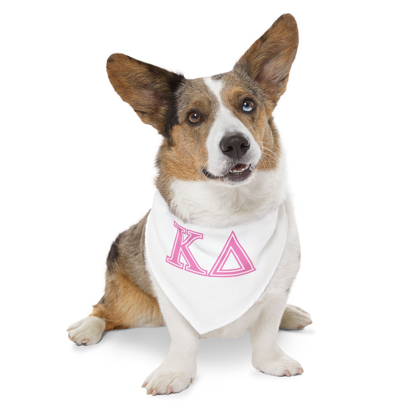 "Kappa Delta" Best Friend Pet Bandana Collar Girl