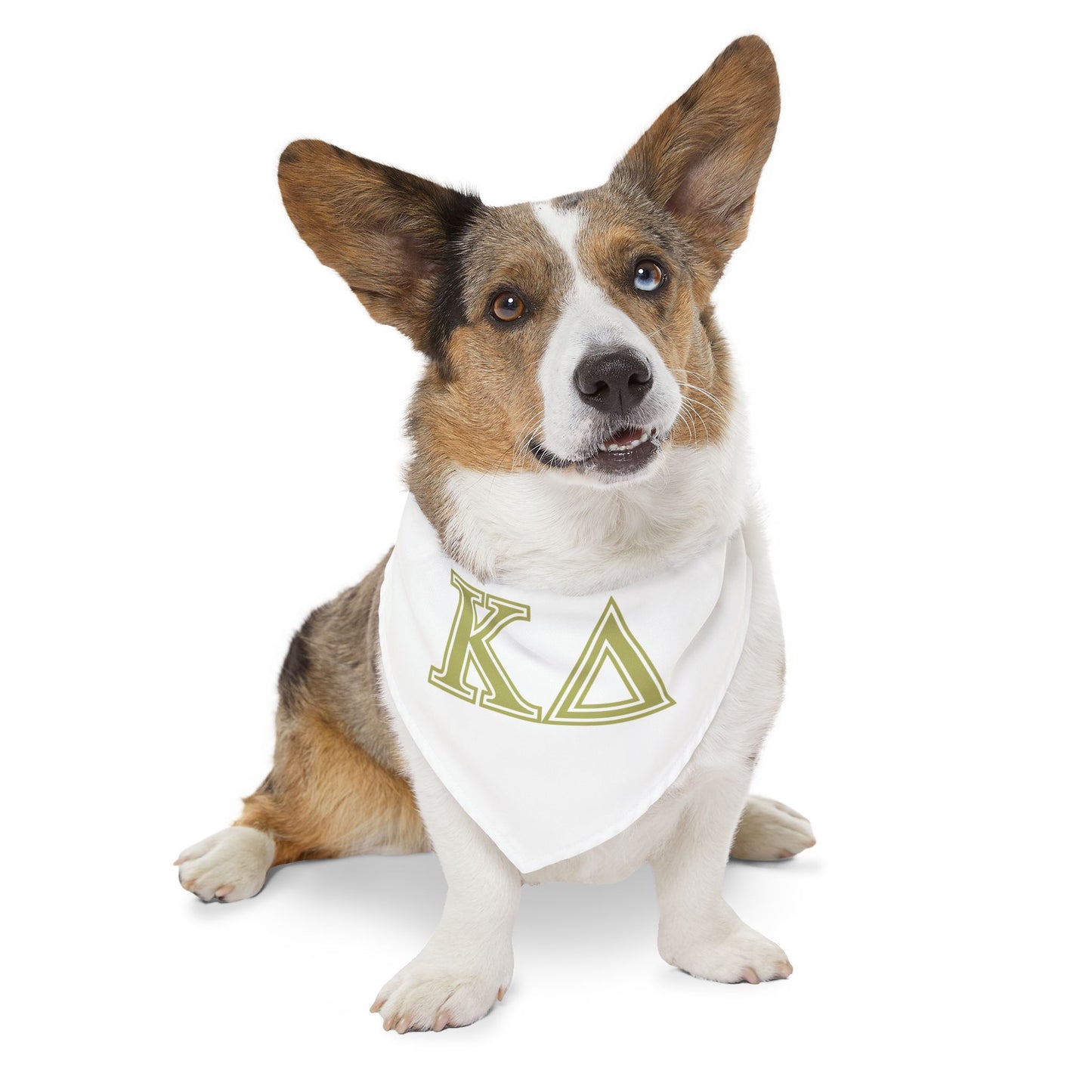 "Kappa Delta" Best Friend Pet Bandana Collar Boy