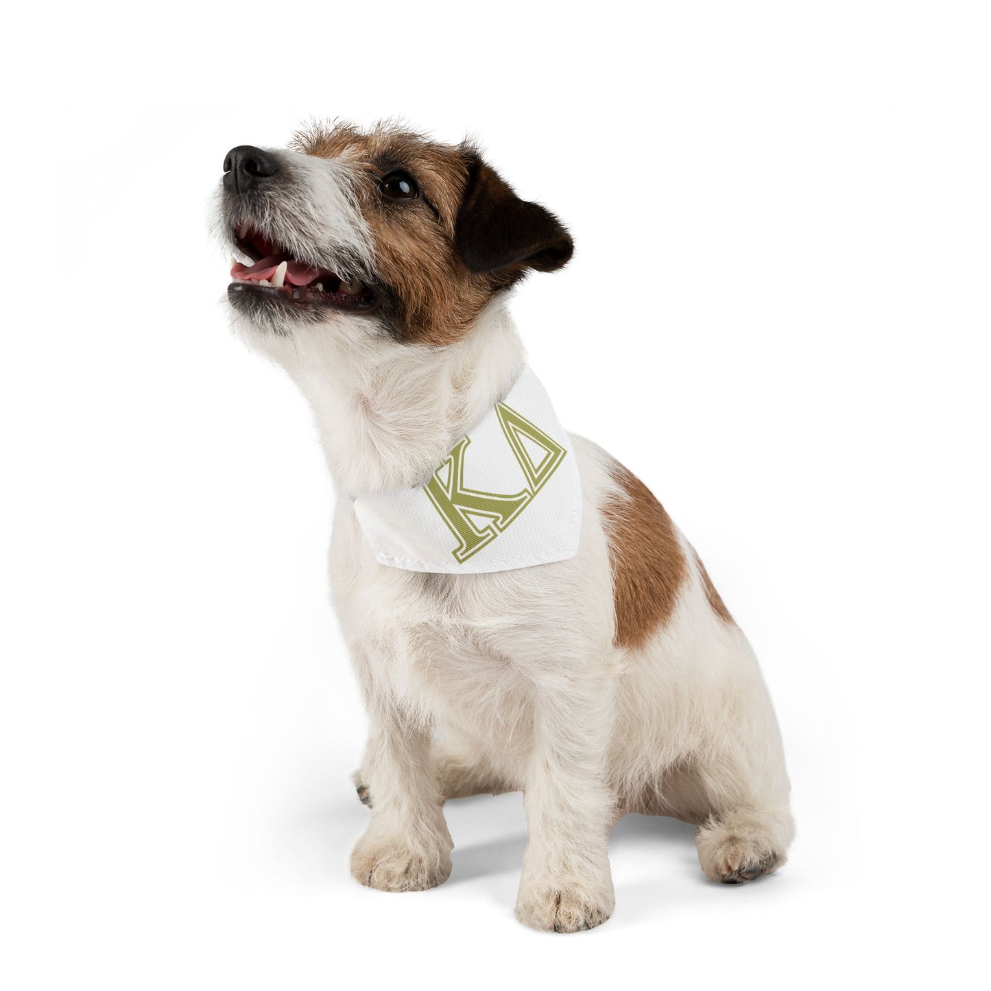 "Kappa Delta" Best Friend Pet Bandana Collar Boy