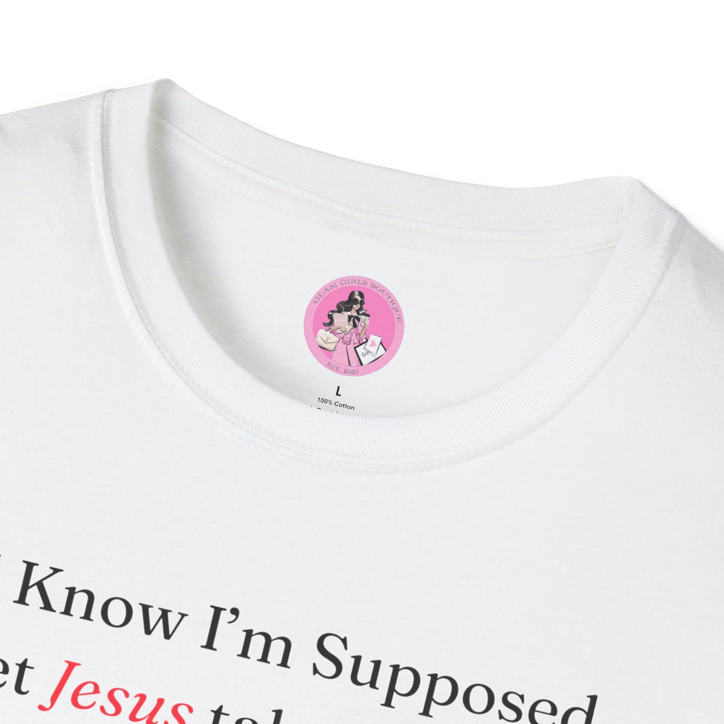 "Jesus take the Wheel" Soft-style T-Shirt