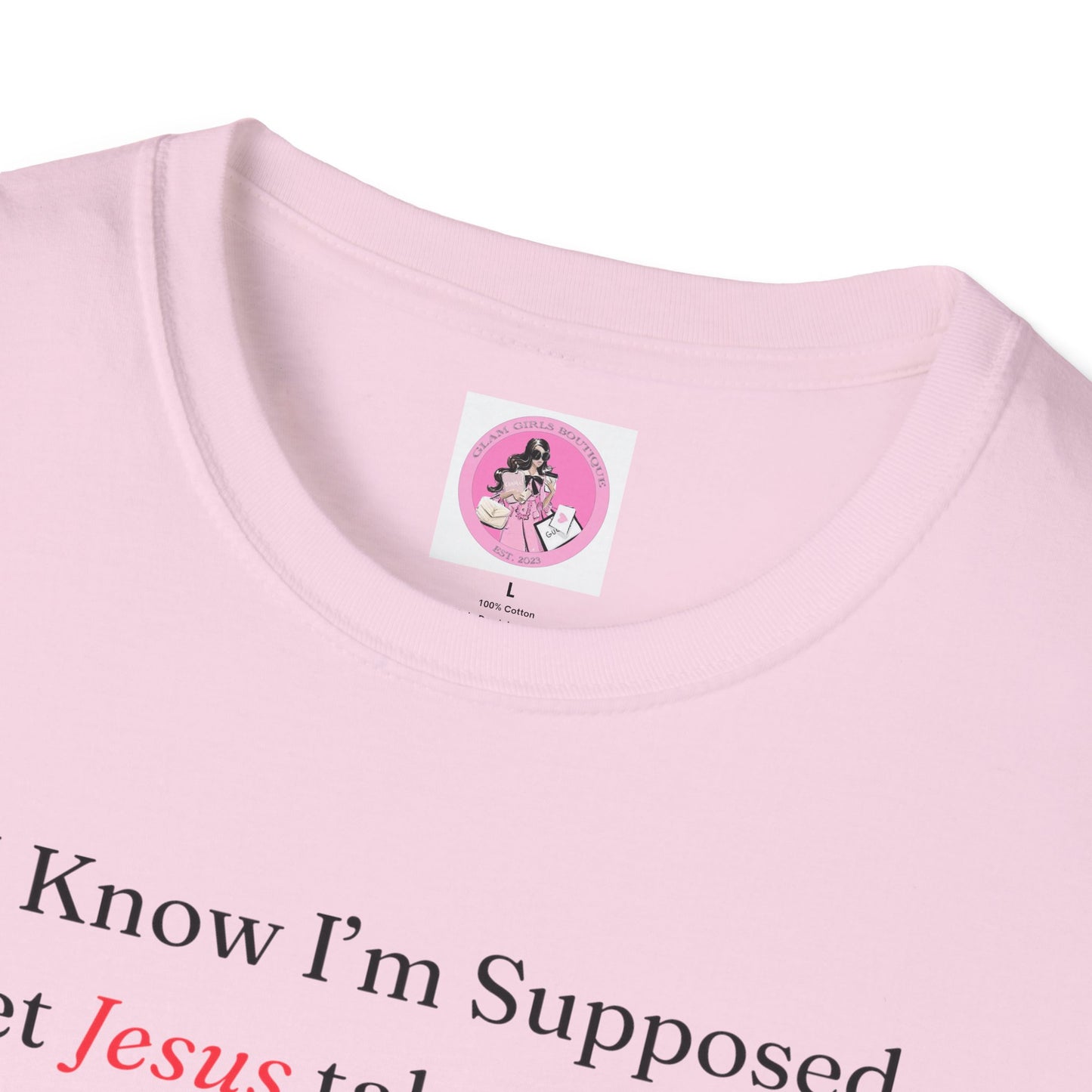 "Jesus take the Wheel" Soft-style T-Shirt