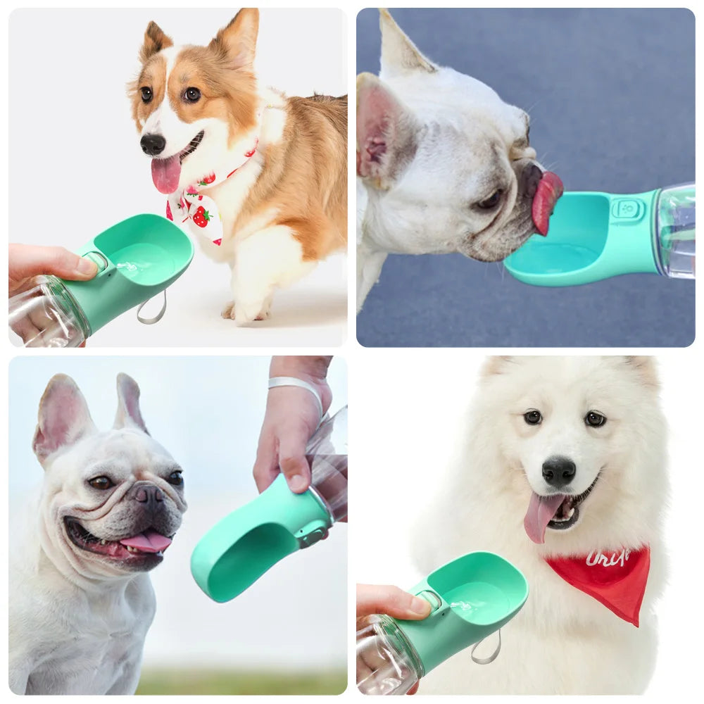  Portable Dog Water Bottle 3 sizes and color options